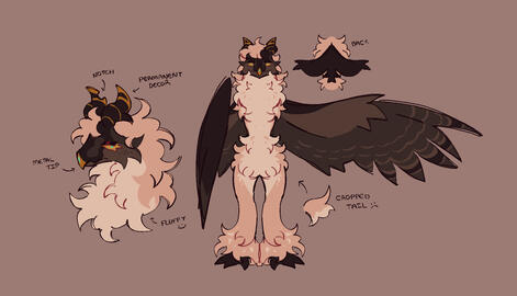Fullbody + Headshot